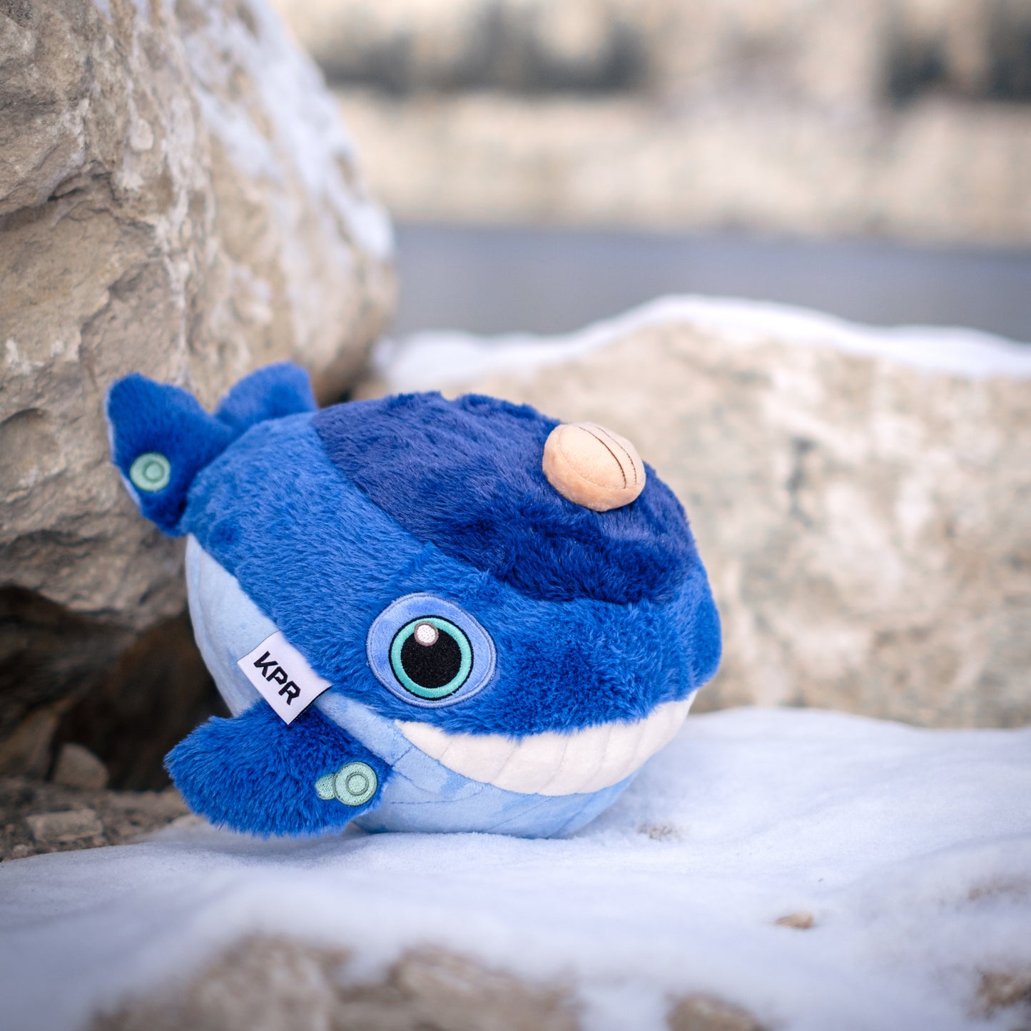 Chibi Whale Plushie